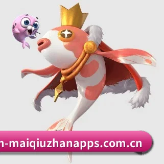 买球站 APP